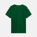 Camisa Puma Palmeiras 2025/26 I - Paulinho N° 10